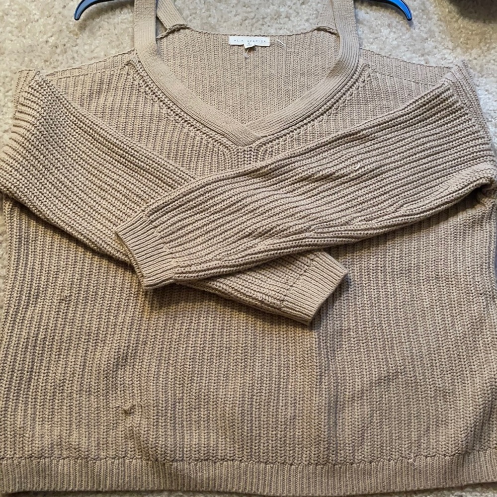 Women Taupe sweater
